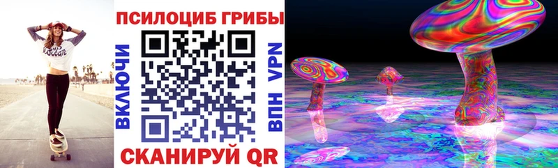 Псилоцибиновые грибы Psilocybe Городец