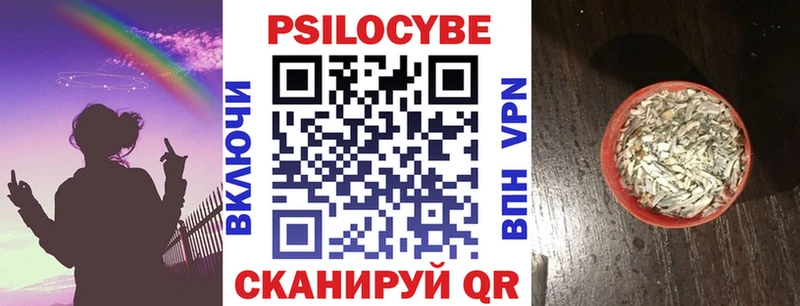 Псилоцибиновые грибы Psilocybe  Купить  Городец 
